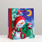 Пакет подарочный "Снеговик с подарком", 18 х 22,3 х 10 см