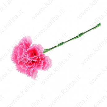 Garofano rosa 50 cm