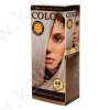 Tinta per capelli N°88 Biondo scuro argento "Color Time" con Pappa Reale e Vitamina C Tinta per capelli N°88 Biondo scuro argento "Color Time" con Pappa Reale e Vitamina C