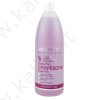 Shampoo laminante per la protezione dei capelli con uva e chia "Spa Master - Protect Line" 970ml